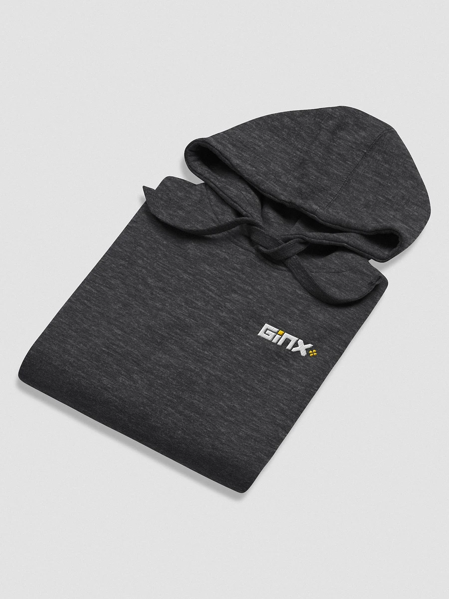 GINX+ Hoodie (Embroidered Logo) product image (14)