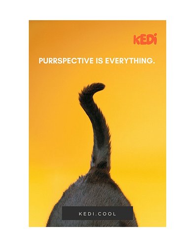 Inspired by Cats, Made for You

Discover fashion that celebrates independence and mindfulness. Our designs bring cat wisdom i...