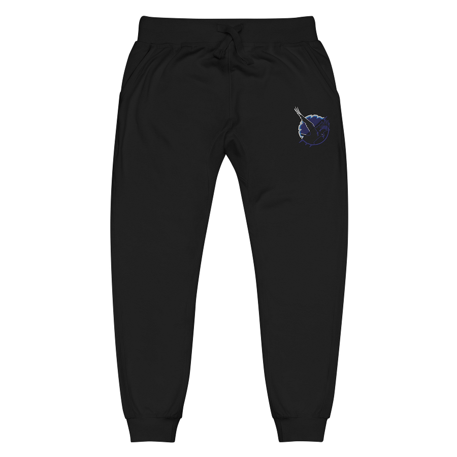 NIGHT RAVEN PHANTOM JOGGERS product image (1)