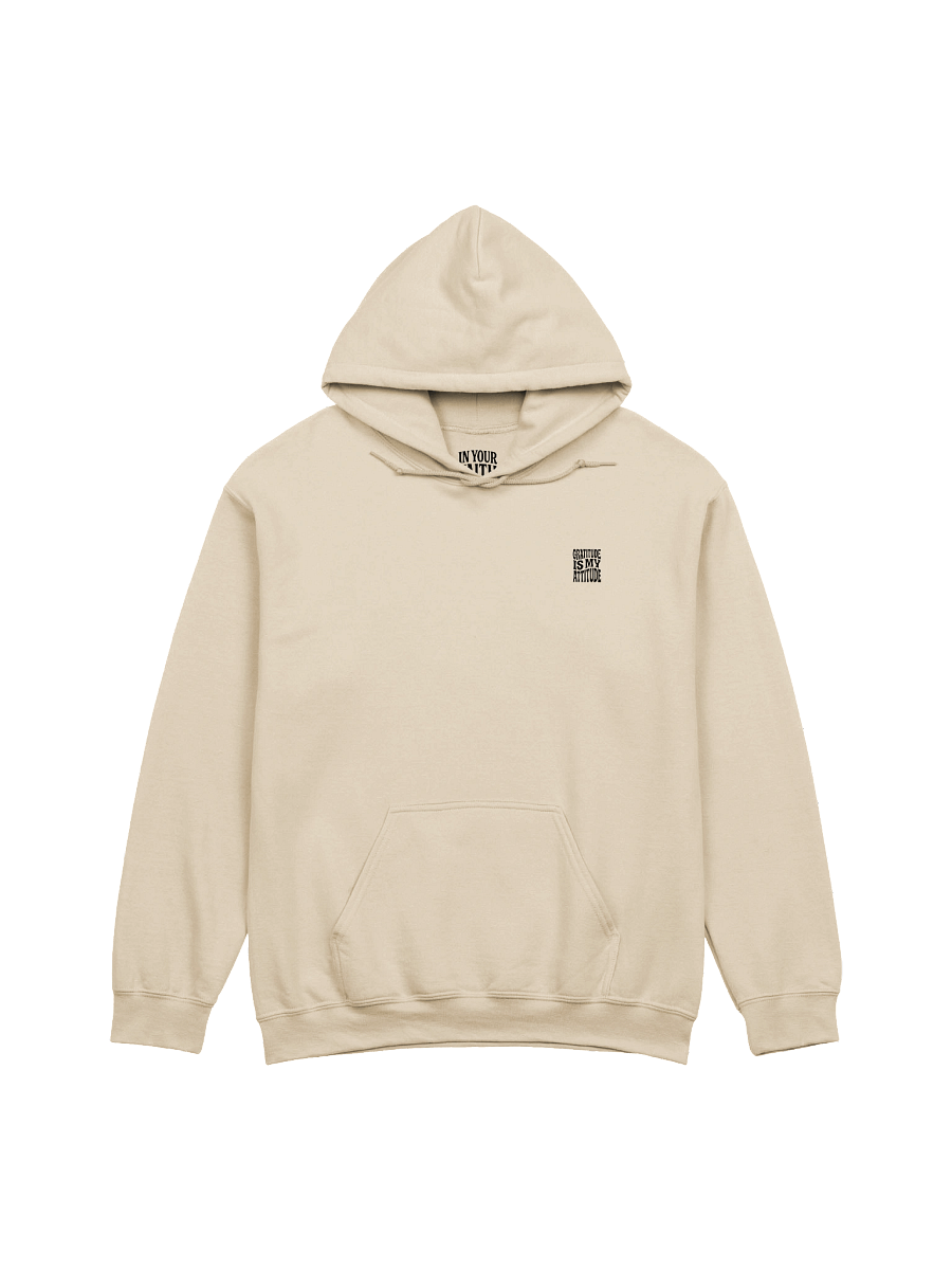 Gratitude Is My Attitude Hoodie product image (2)