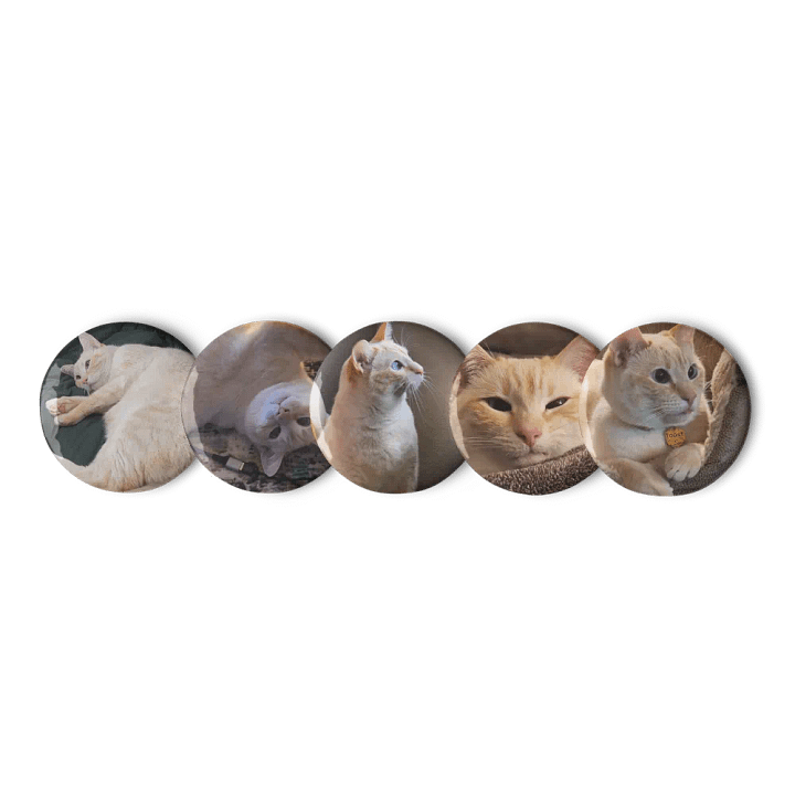 Toasty Pin Set product image (2)