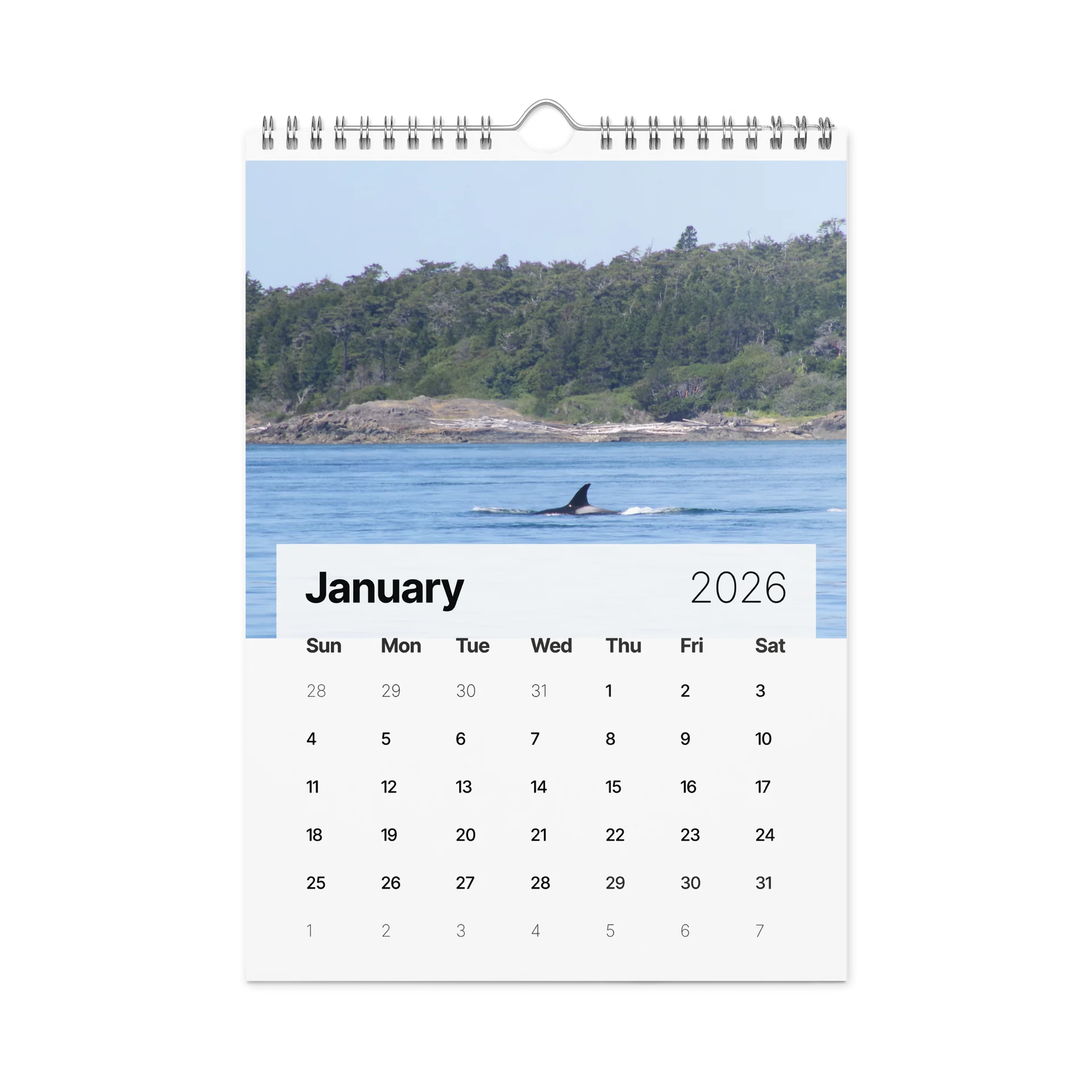 CRAVONE - 2026 Orca Calendar product image (6)