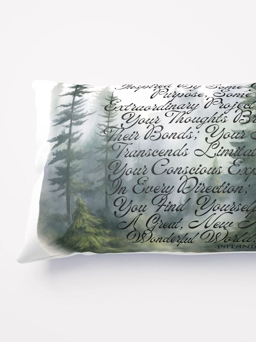 “When You Are Inspired -Patanjali product image (7)