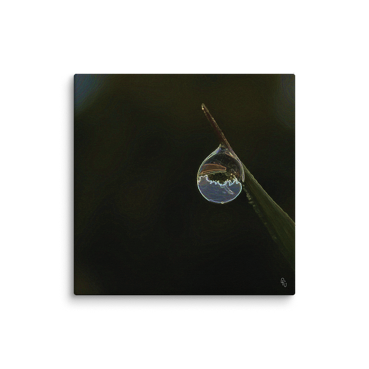 WaterWorld I OriGiNal by Li' product image (1)