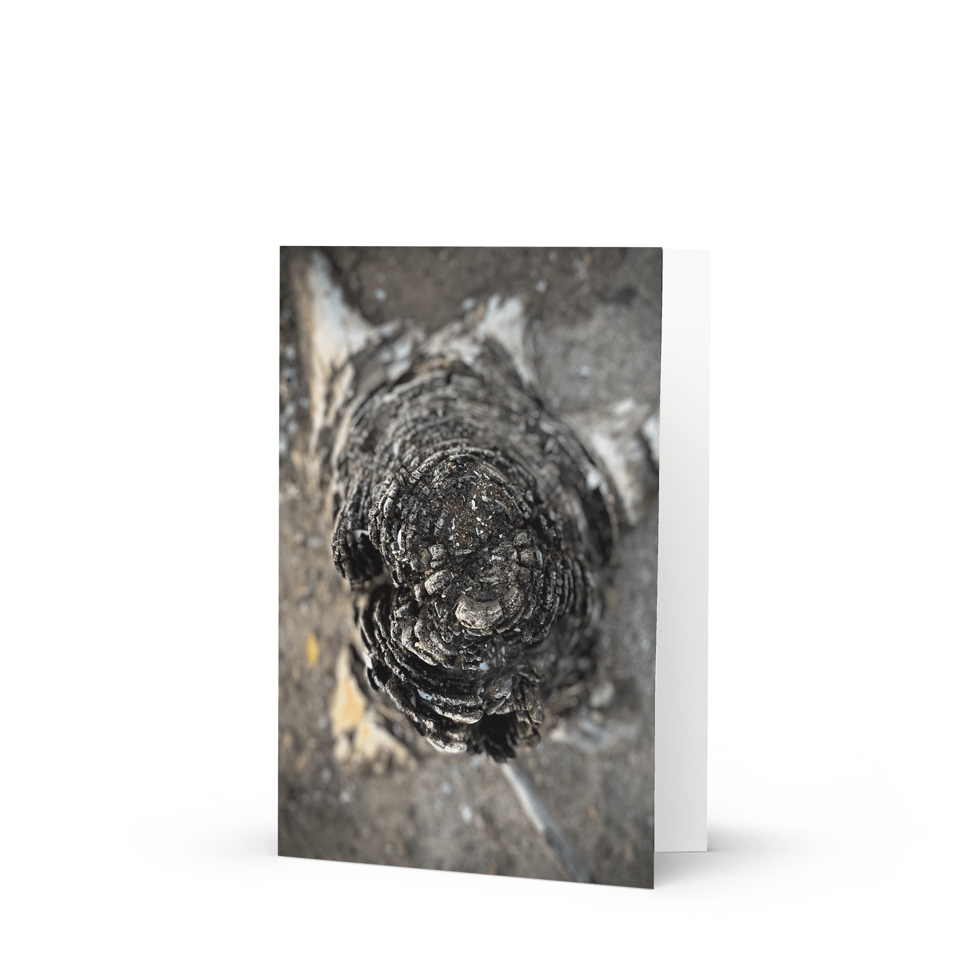 Weathered Wisdom Greeting Card product image (1)