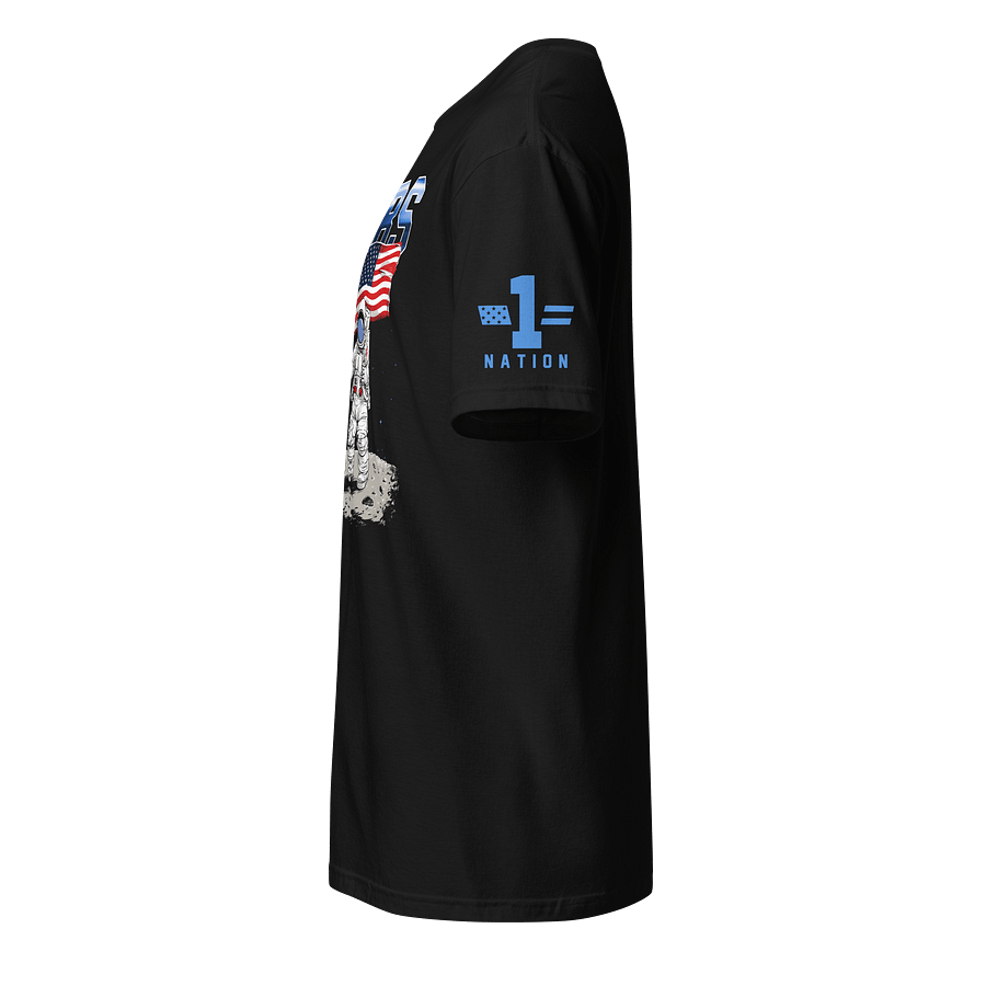 DIBS on the Moon product image (3)
