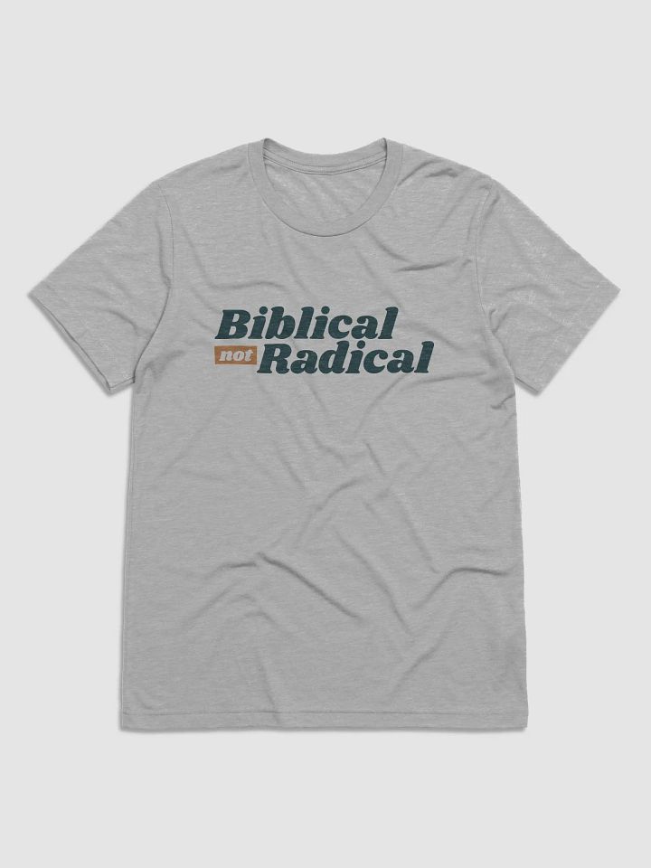 Men's T-Shirt: Biblical Not Radical (more colors available) product image (1)