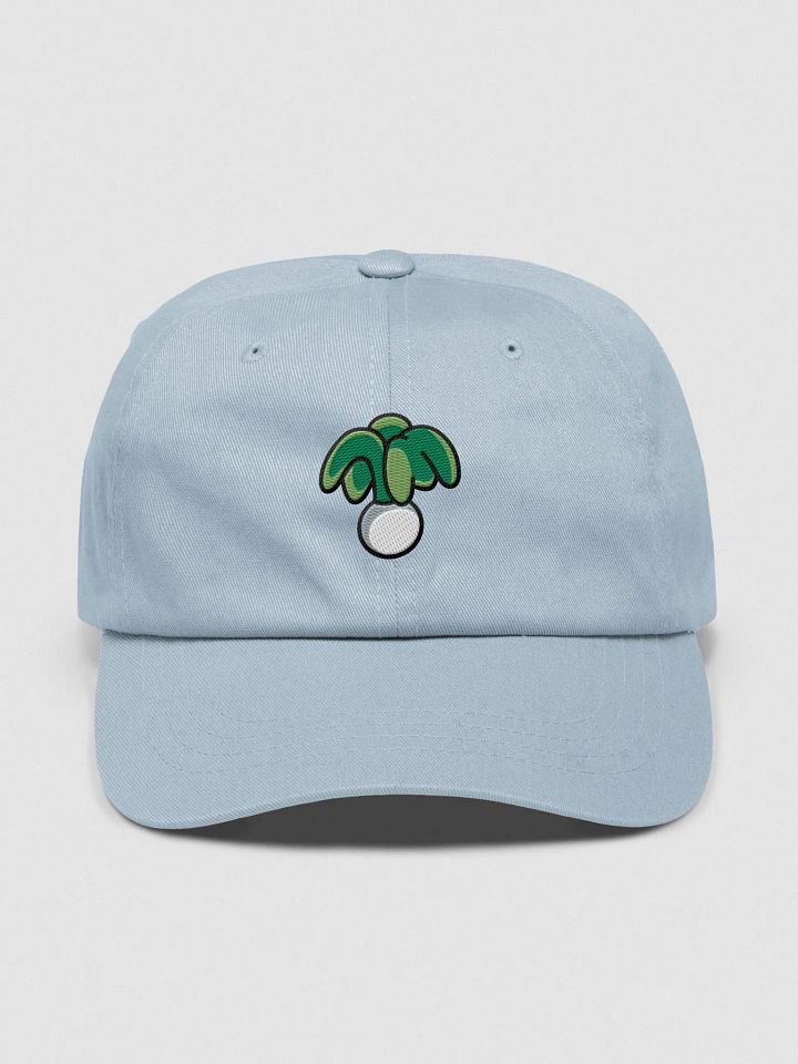 LUCKY LEEK HAT product image (1)