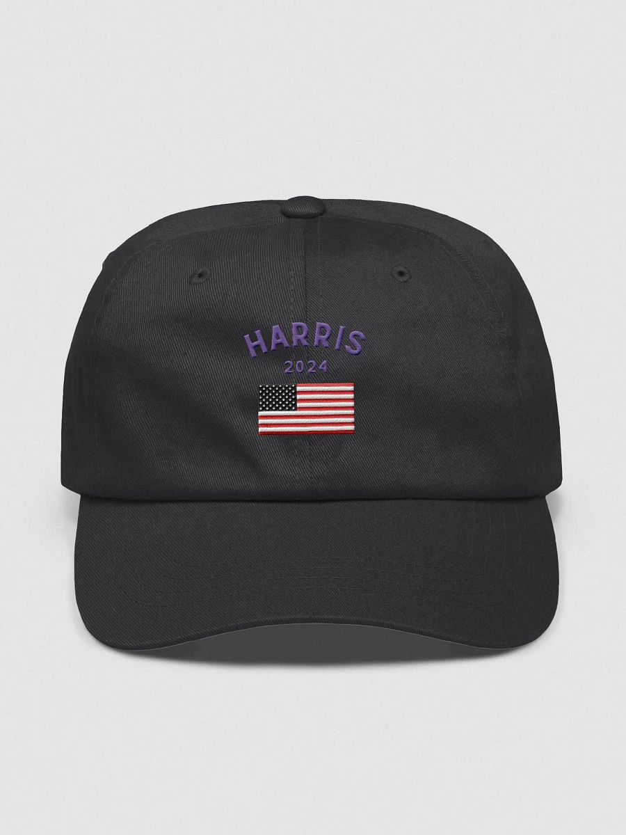 Harris-Walz Unity Dad Hat product image (2)