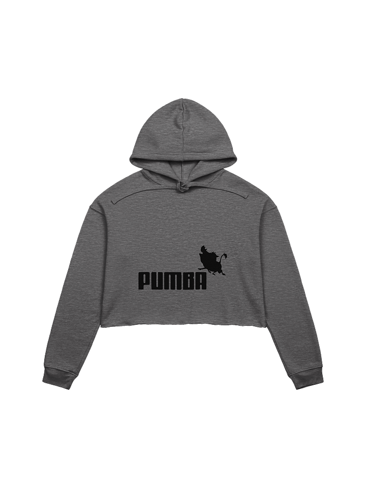 Pumba Crop Hoodie product image (1)