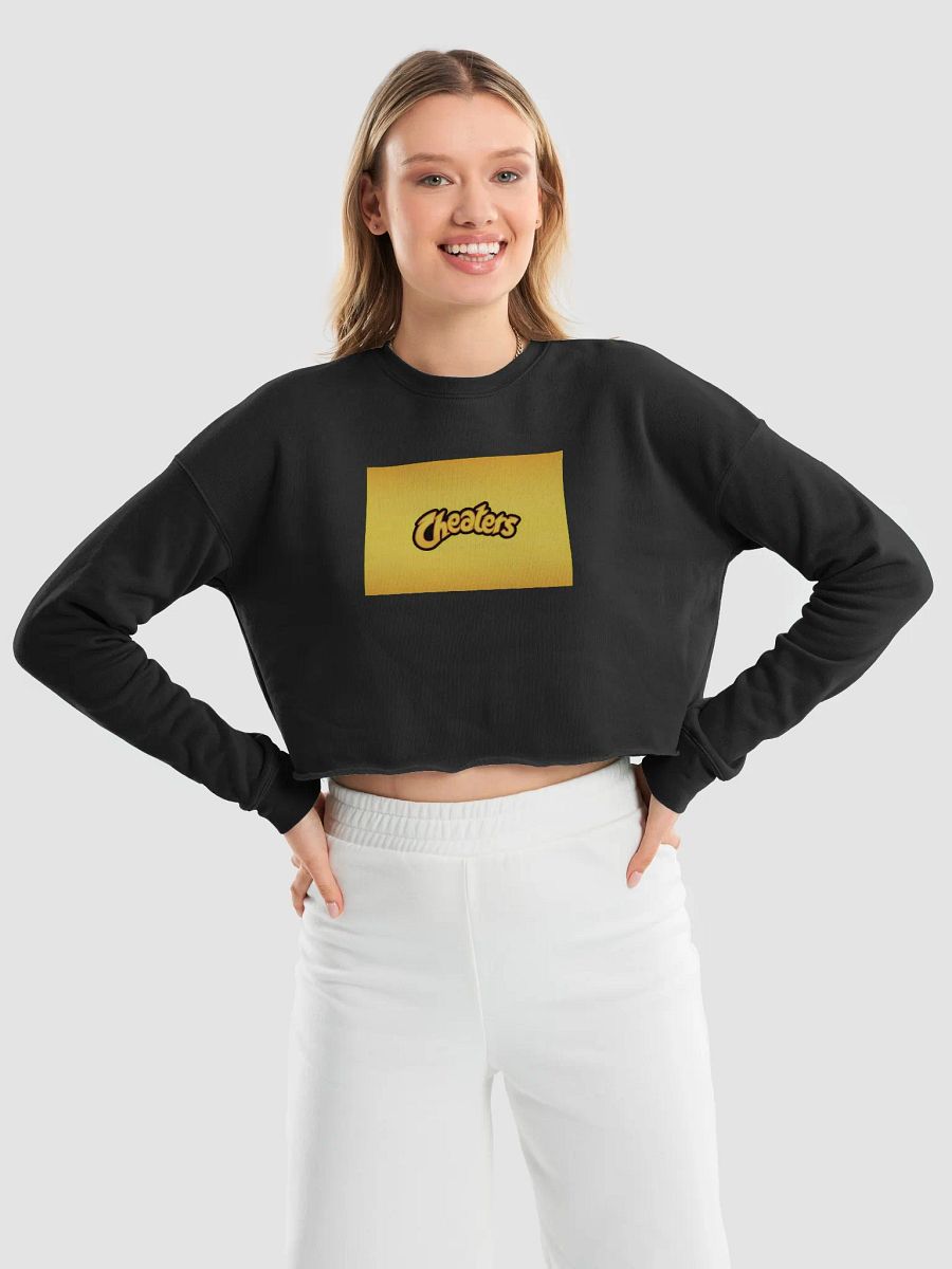 Cheaters Fleece Crop Sweatshirt product image (44)