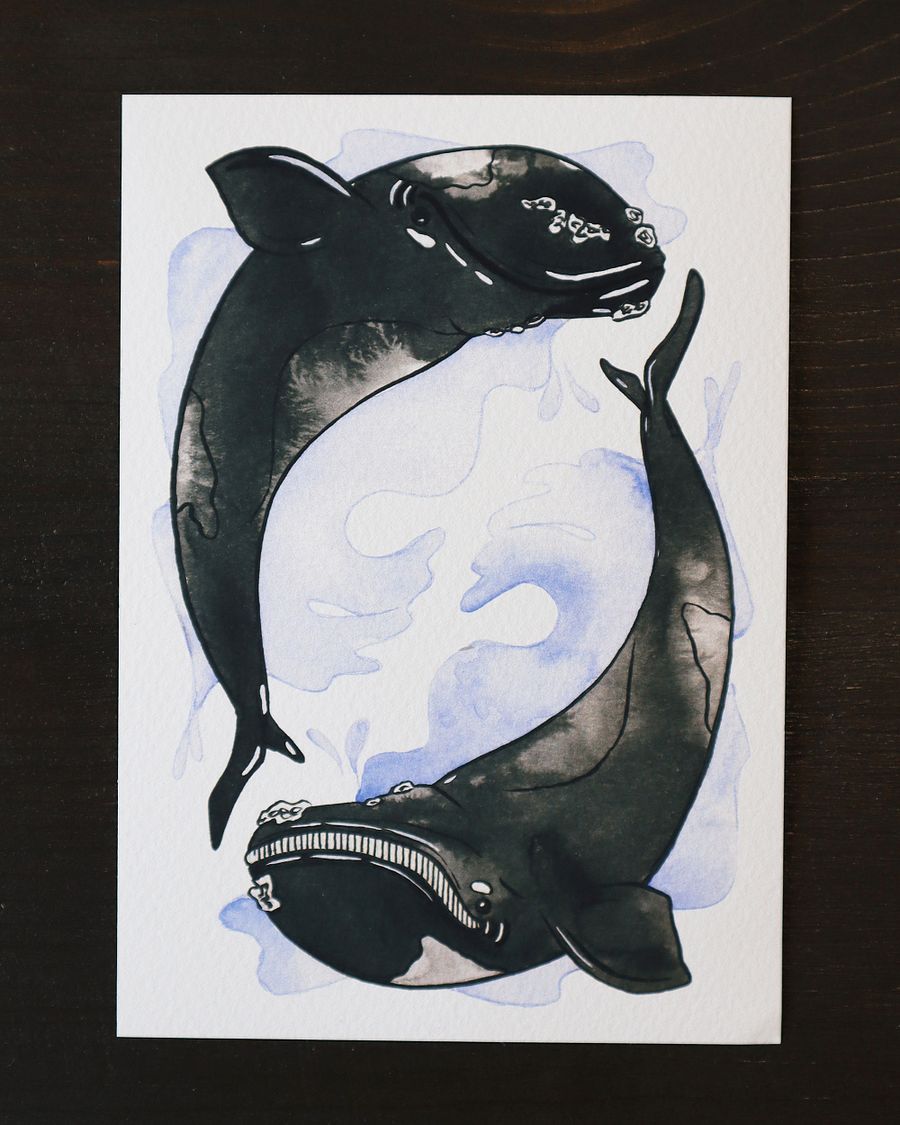 print : whales product image (2)