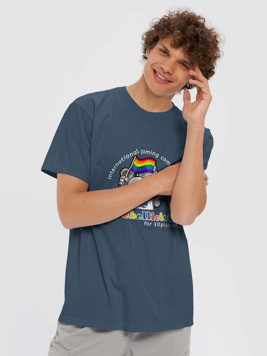Comfort Colors Pride T-shirt product image (58)