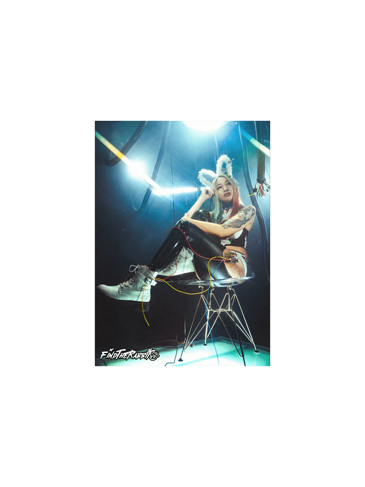 FIND THE RABBIT MATTE POSTER PRINT product image (1)
