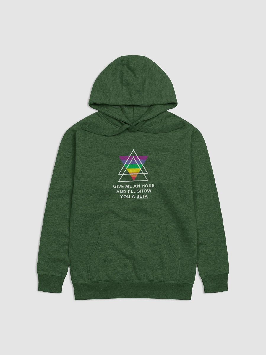 Penetrating 'Beta" Hoodie product image (5)