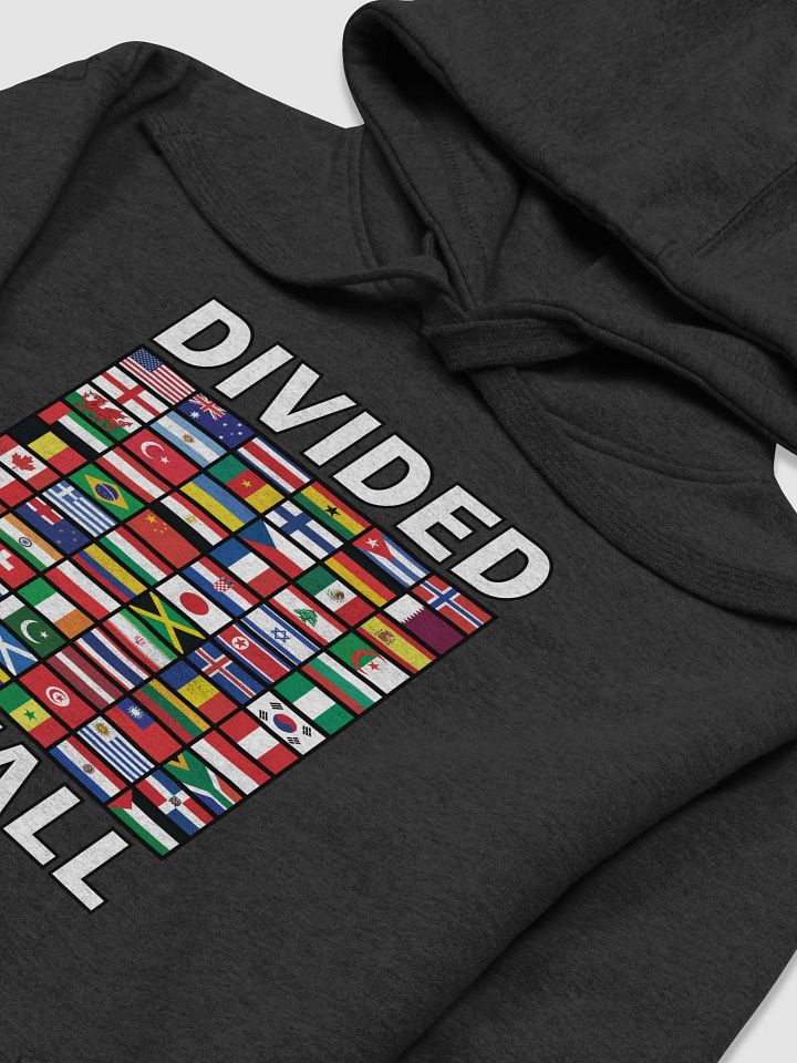 Divided We Fall - Nations - Cotton Heritage Unisex Premium Hoodie product image (1)