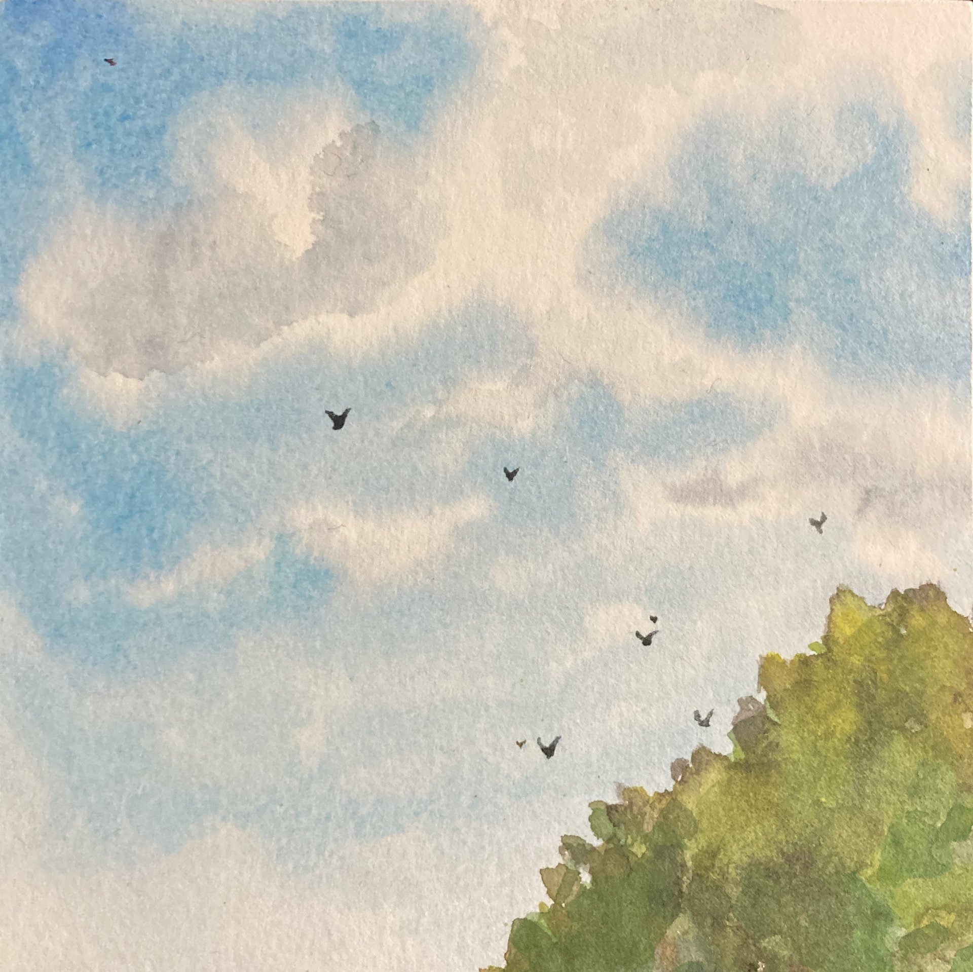 Original watercolor painting: Waxwings on Mulberry product image (1)