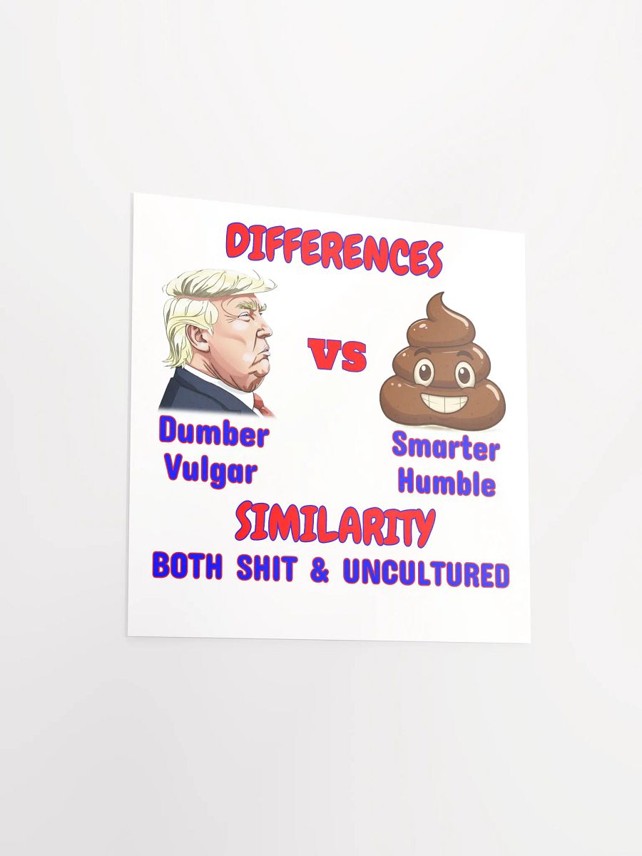 Differences vs Similarity Poster product image (14)