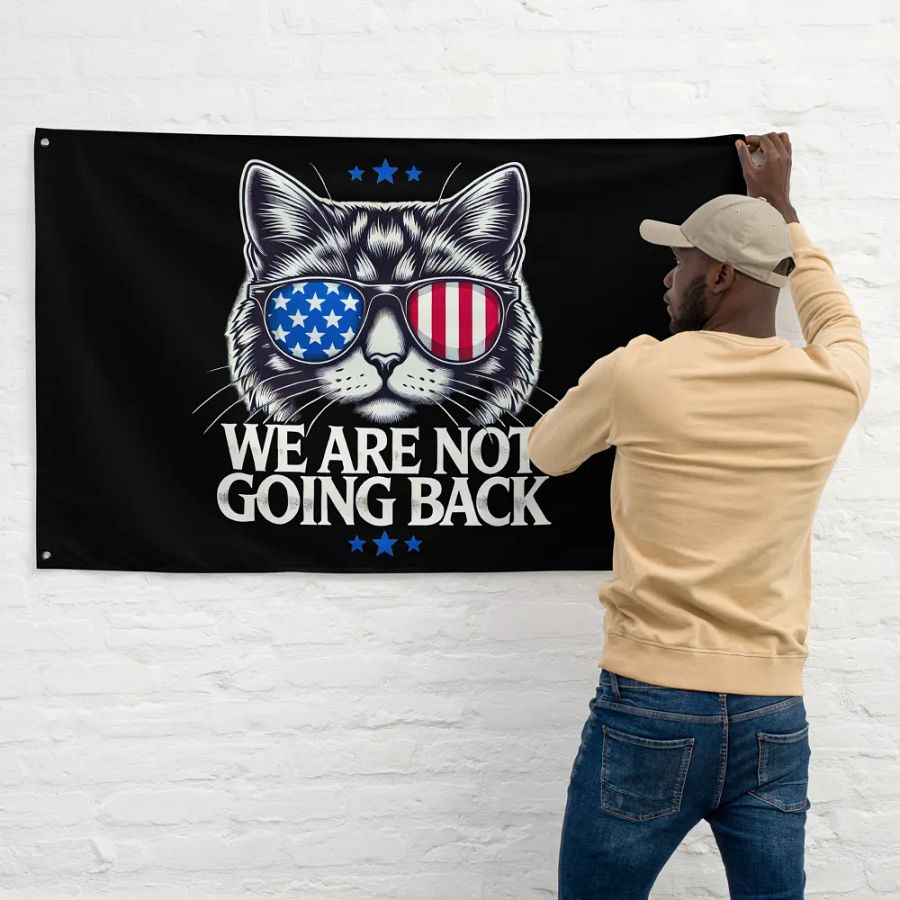 US Election Day 2024 We Are Not Going Back Cat America Flag product image (3)