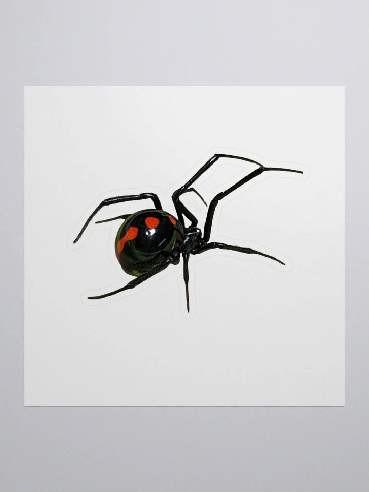 Southern Black Widow Kiss Cut Stickers product image (2)