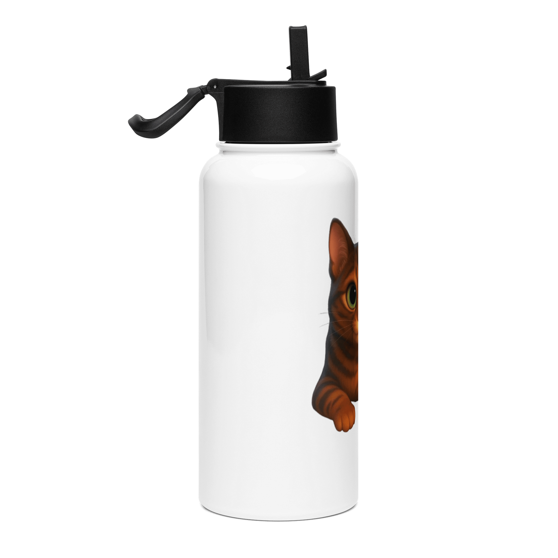 Dior'sCat - Stainless Steel Water Bottle with a Straw Lid product image (4)