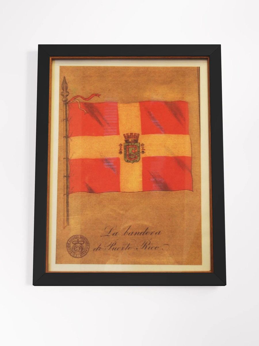 Cuadro - Bandera Provincial de Puerto Rico 1873 product image (4)