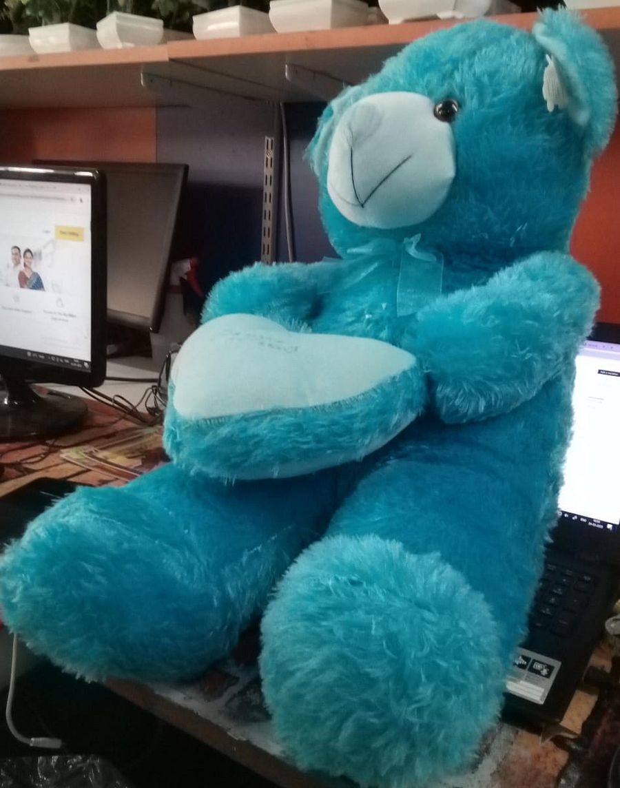 TEDDY BEAR product image (2)