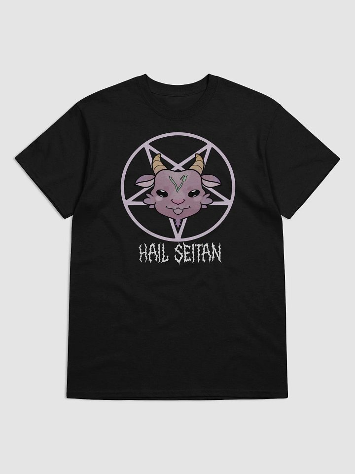 HAIL SEITAN Goat Head Pentagram T-Shirt product image (1)