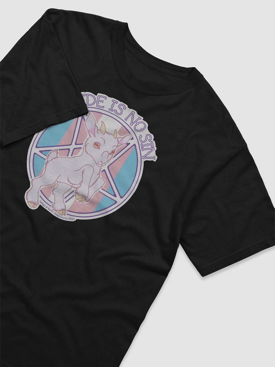 "Trans Pride is No Sin" T Shirt product image (3)