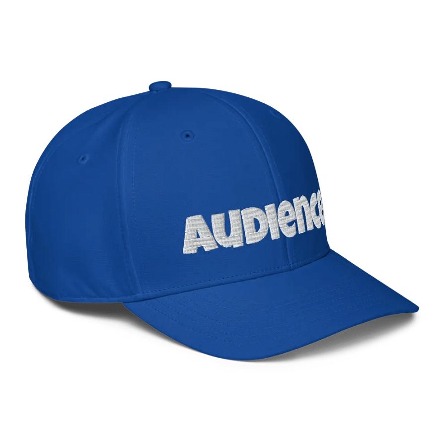 "Audience" baseball hat product image (6)