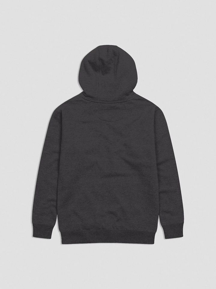 DT Classic Logo Hoodie product image (4)
