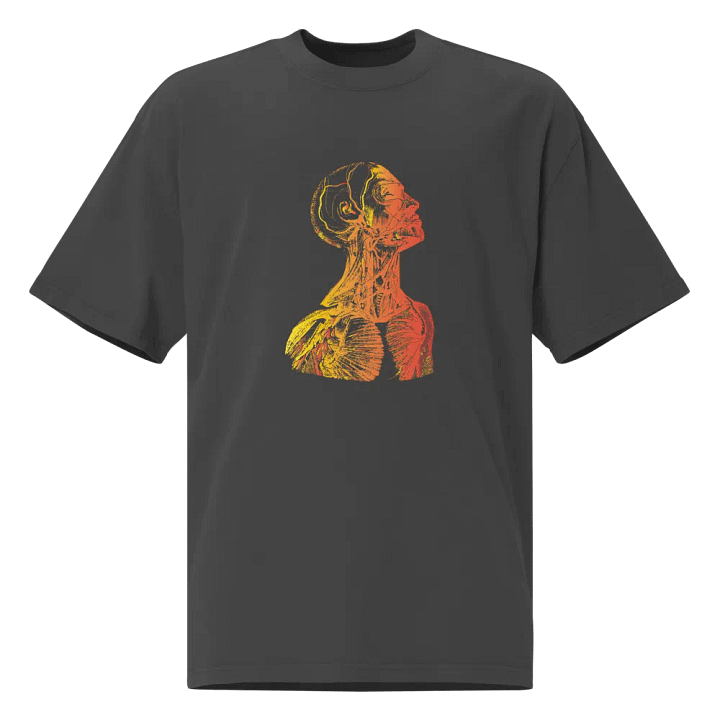 Anatomy - Head product image (1)