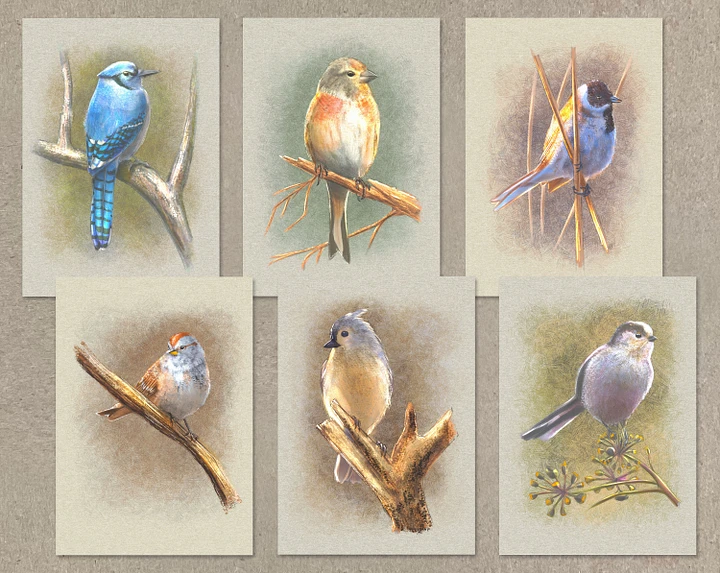 Wild Birds Greeting Cards, 5x7