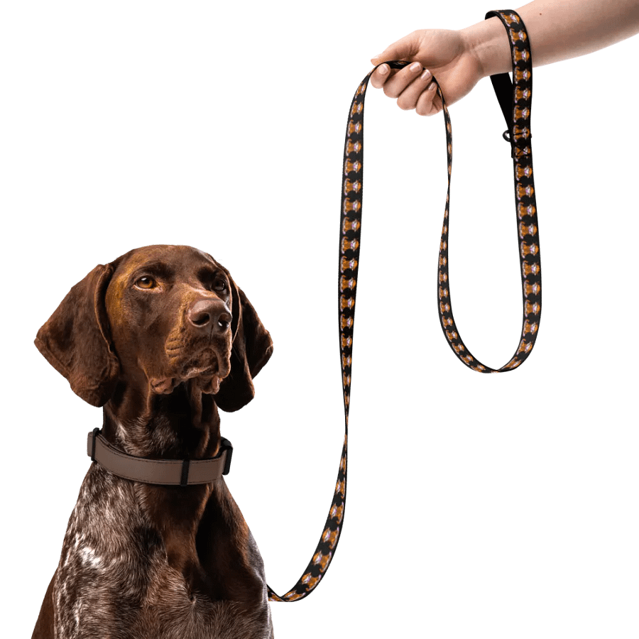 Dog Leash product image (7)