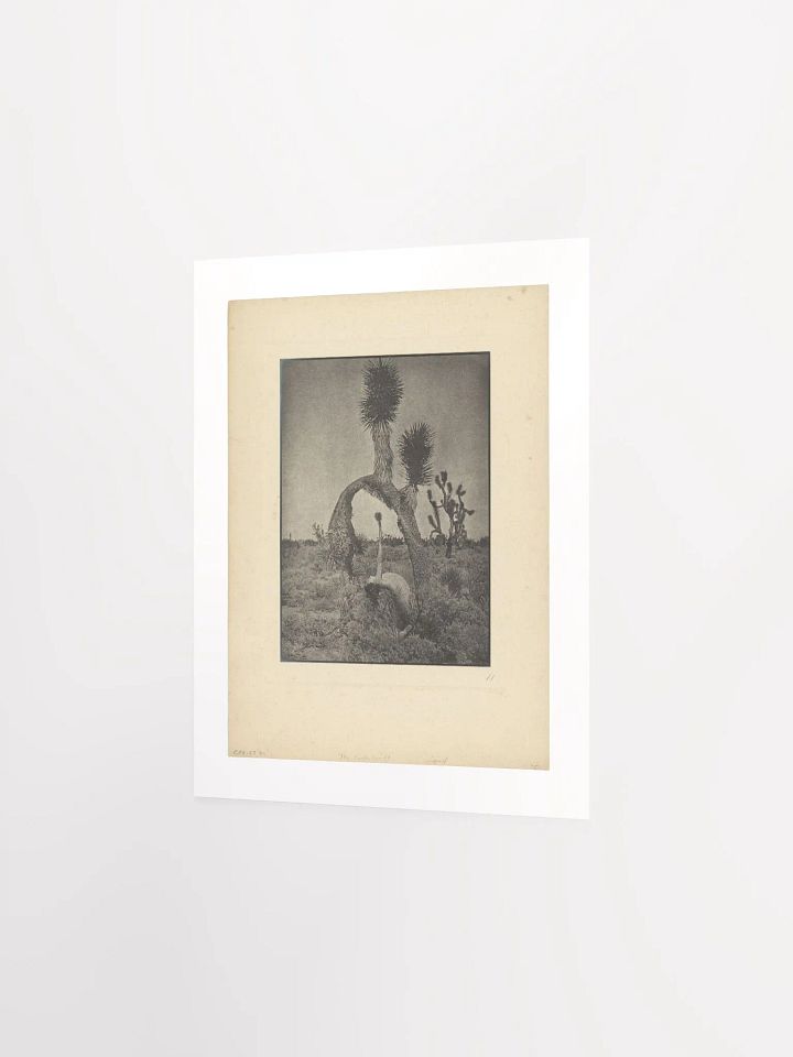 The Contortionist by Louis Fleckenstein (1930) - Print product image (2)