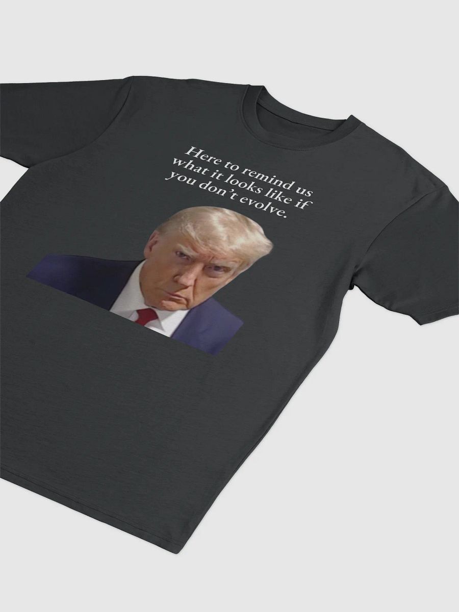 Here to remind us... Premium Cotton Heavyweight Tee product image (3)