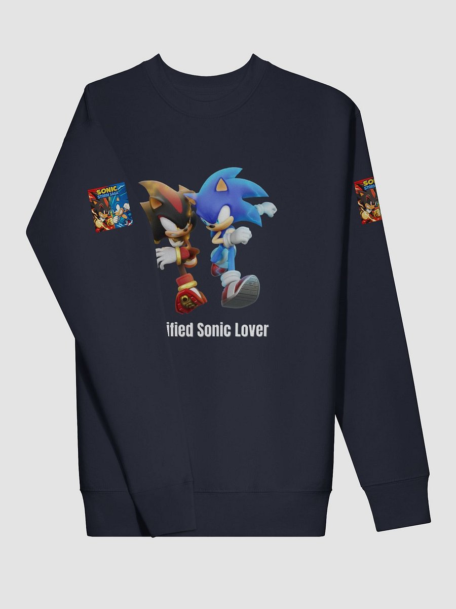 The Sonic Lover Hoodie product image (3)