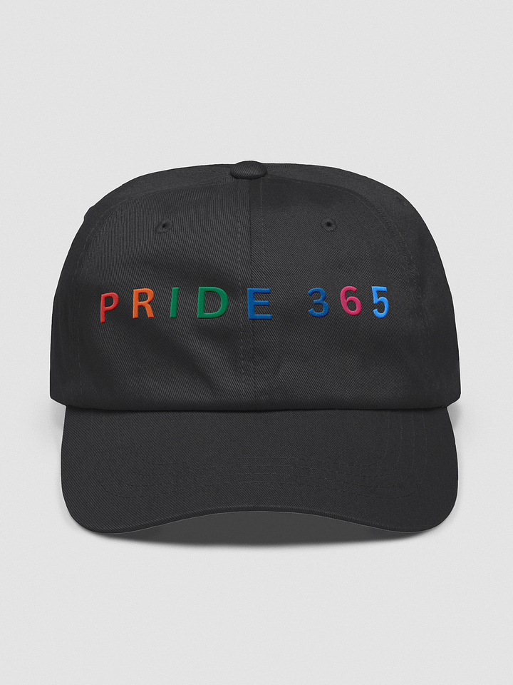 Pride 365 Cap product image (1)