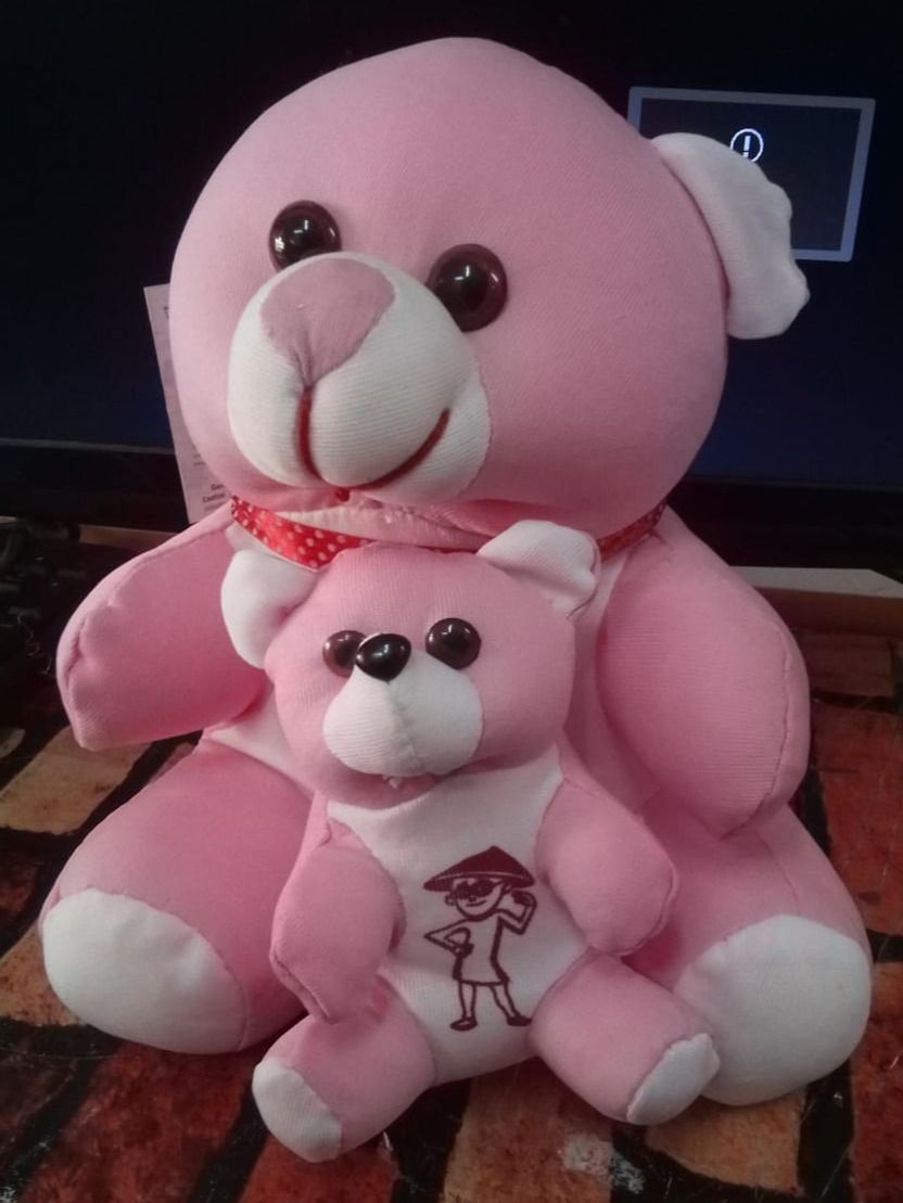 TEDDY BEAR product image (1)