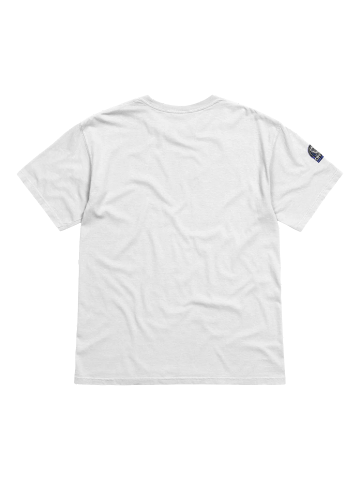 Crypto Heavyweight T-Shirt (Lower Price) product image (2)