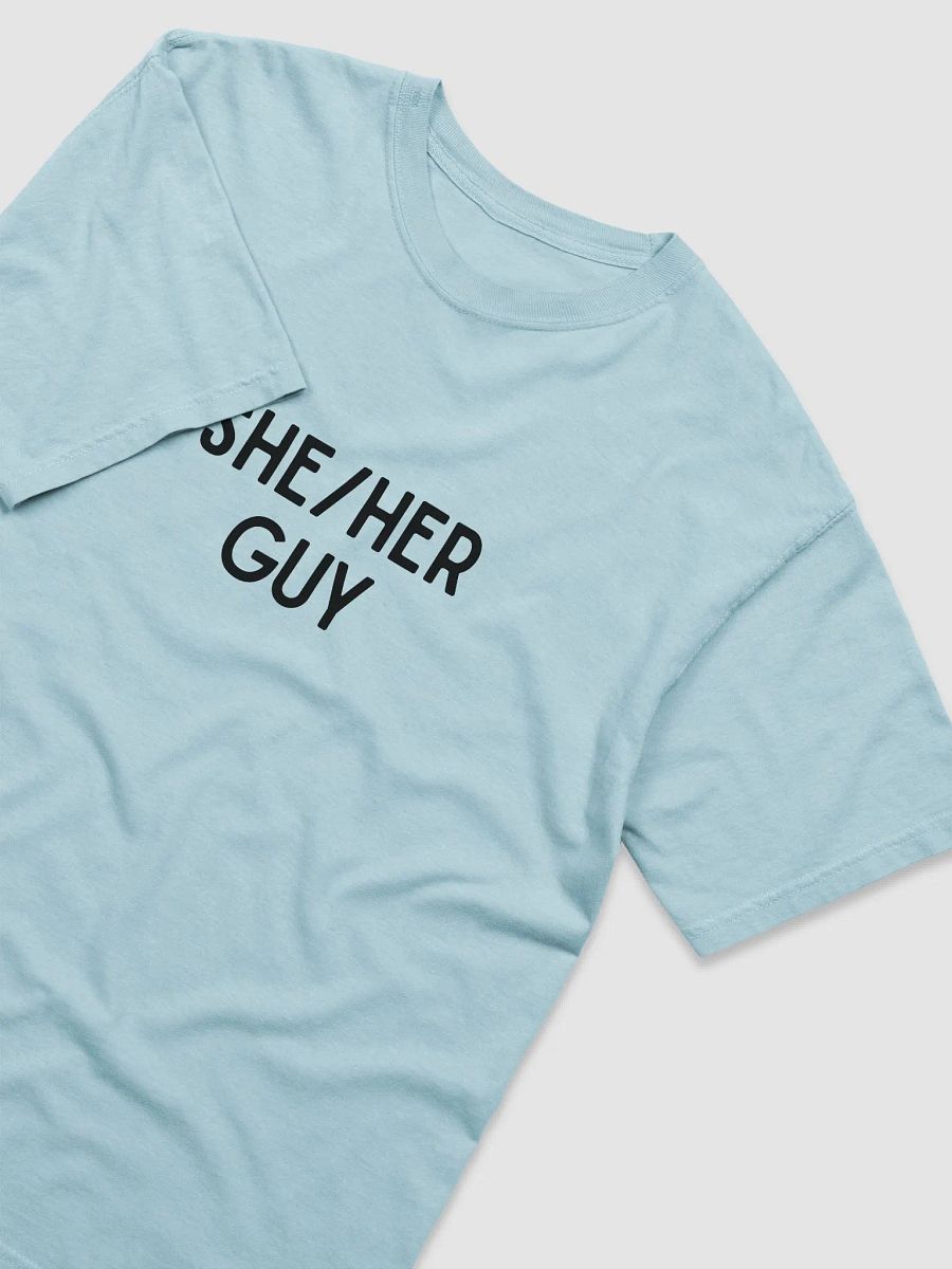 She-Her Guy Heavyweight T product image (18)