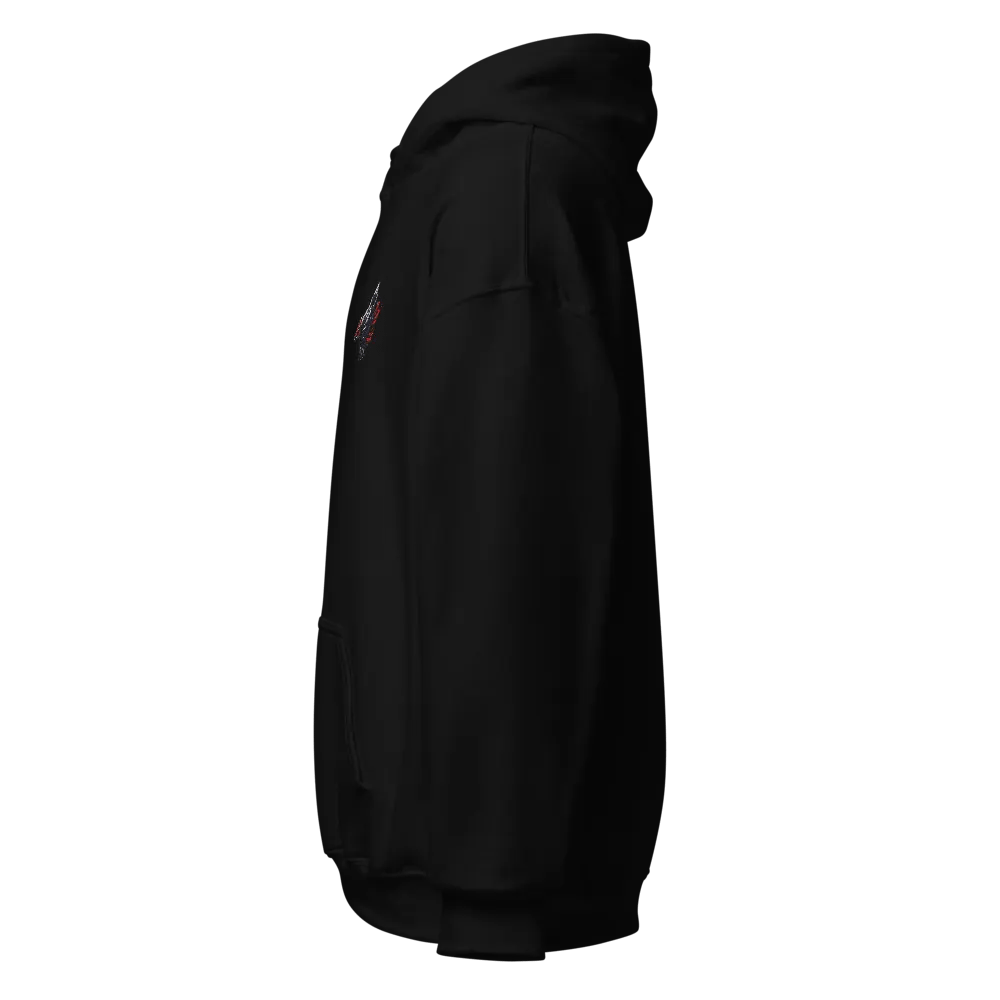 Vanquished Bird Embroided Hoody product image (6)