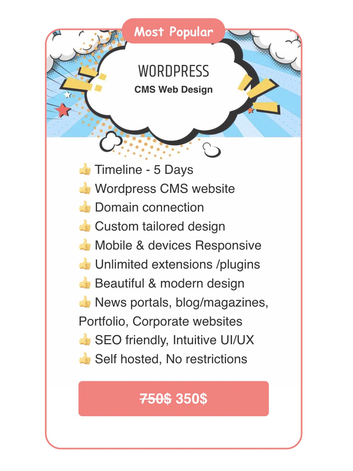 Wordpress CMS Web Design product image (2)