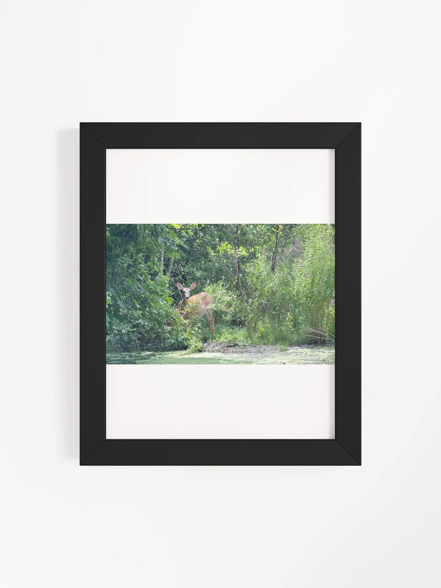Deer In The Wild print product image (34)