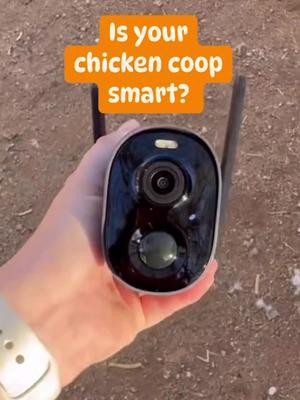 Welcome to easy, tech-savvy chicken care. 🤓🐓Embrace smart farming with our Smart Coop Kit: EggsteinAI-driven CoopCams, automated door, and app-based control to add to your at home coop for ultimate backyard bliss!! 🎥 cluck credit: @Mytayloredlifestylee 😉💛