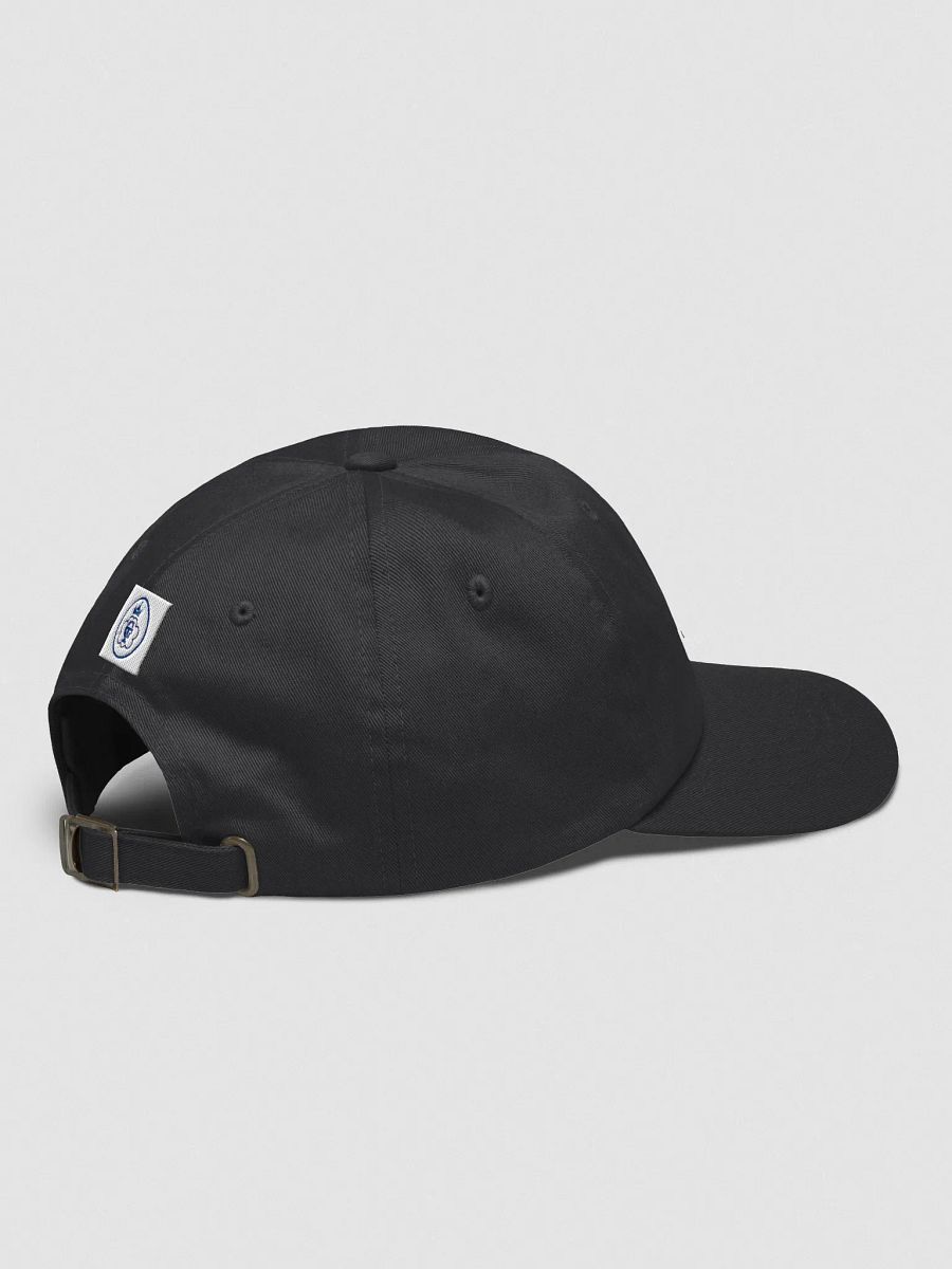 KILL'N IT EVERY.DAMN.DAY. product image (4)
