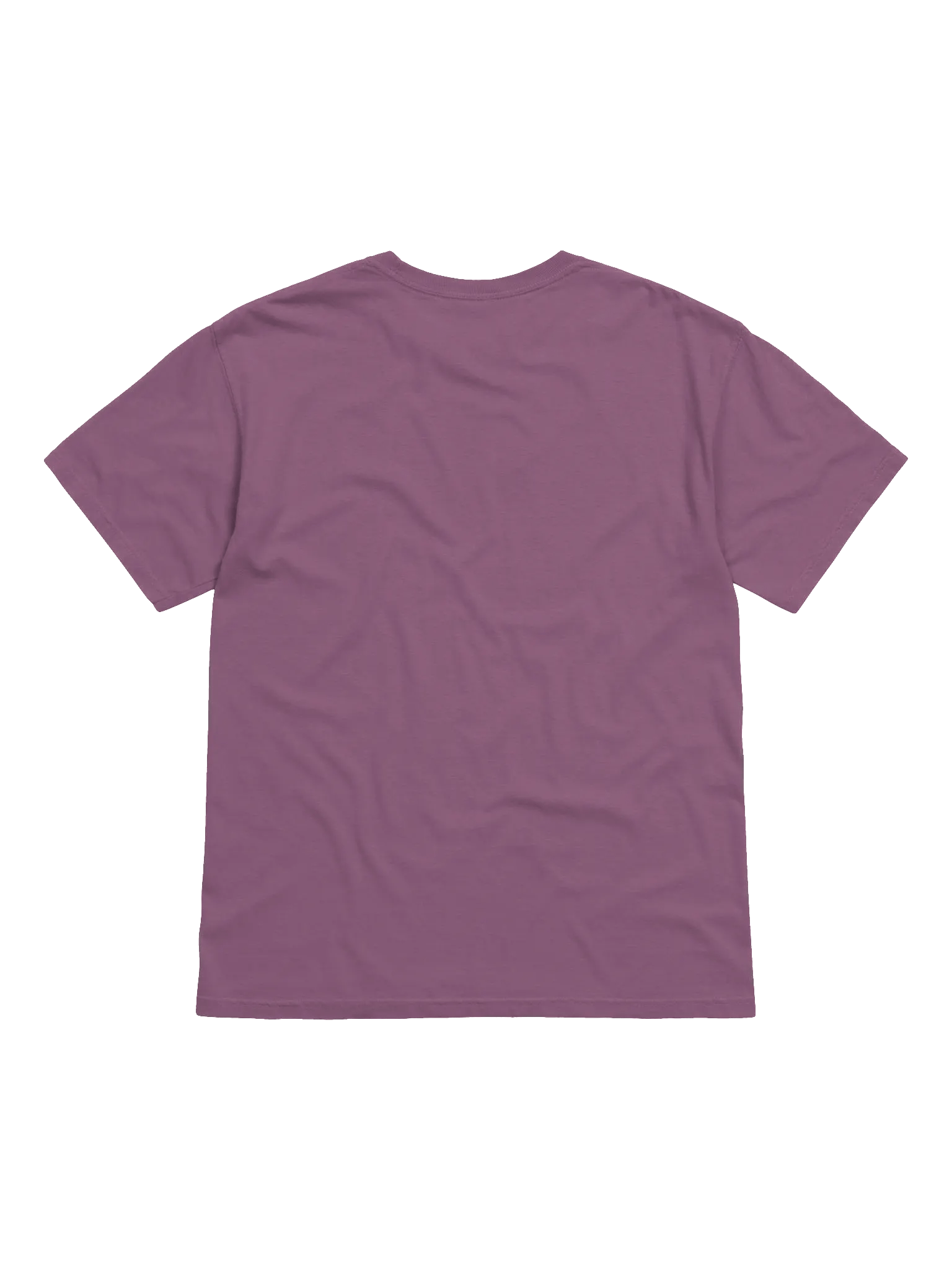 Aurora Horizons | Comfort Colors Heavyweight T-Shirt product image (8)