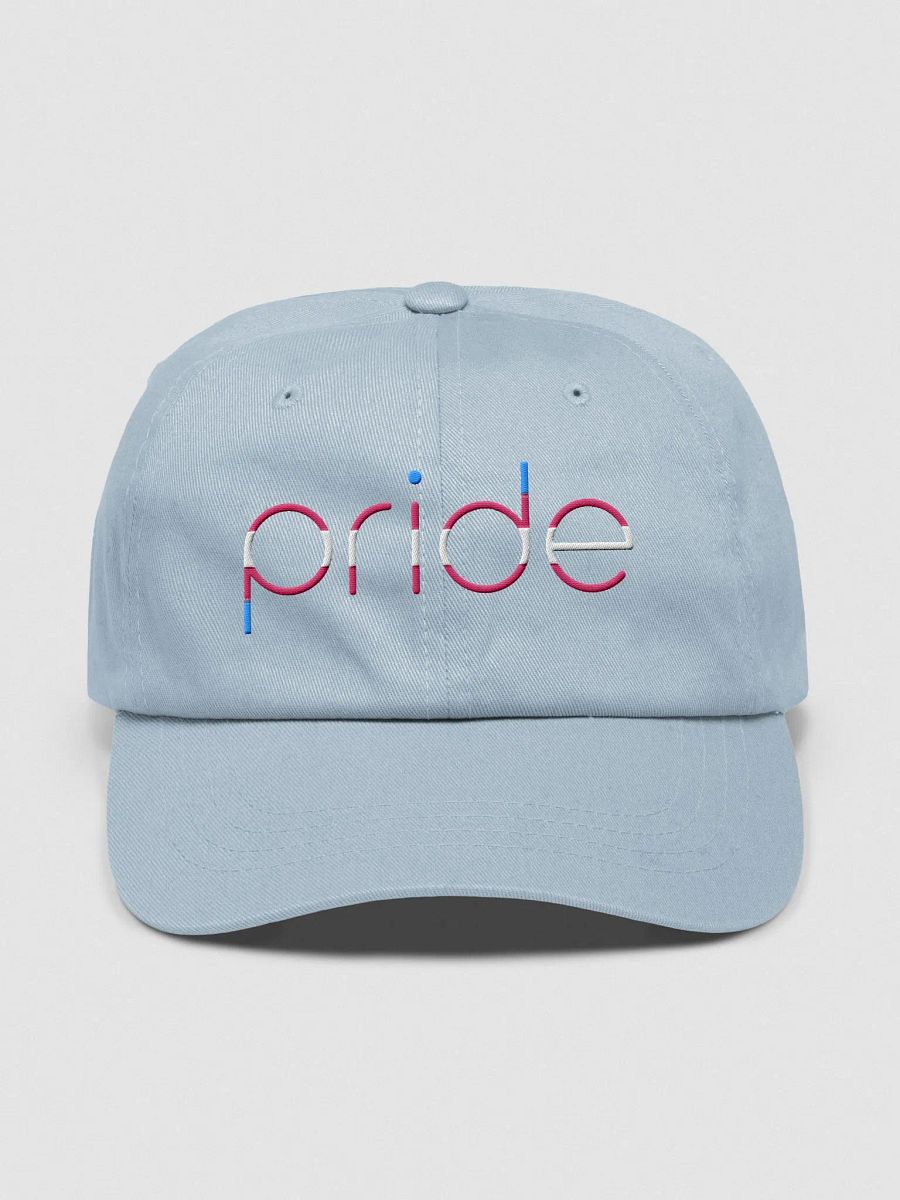 trans pride in lowercase - Embroidered Hat product image (1)
