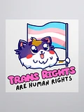 Trans Rights Sticker product image (1)