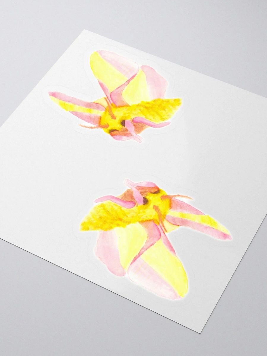 Rosy Maple Moth Sticker (x2) product image (3)